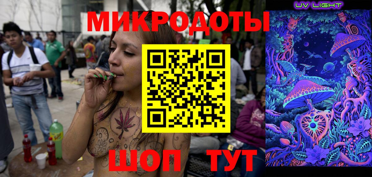 Псилоцибиновые грибы Psilocybe Сланцы