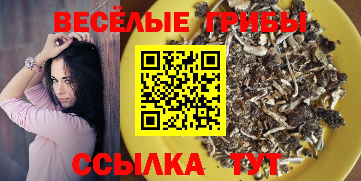 Псилоцибиновые грибы мицелий  Вход с VPN  Сланцы  Галлюциногенные грибы Psilocybine cubensis 