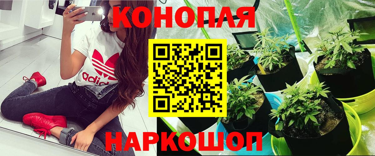 Сланцы  Каннабис OG Kush  Бошки Шишки THC 21%  Вход с VPN 